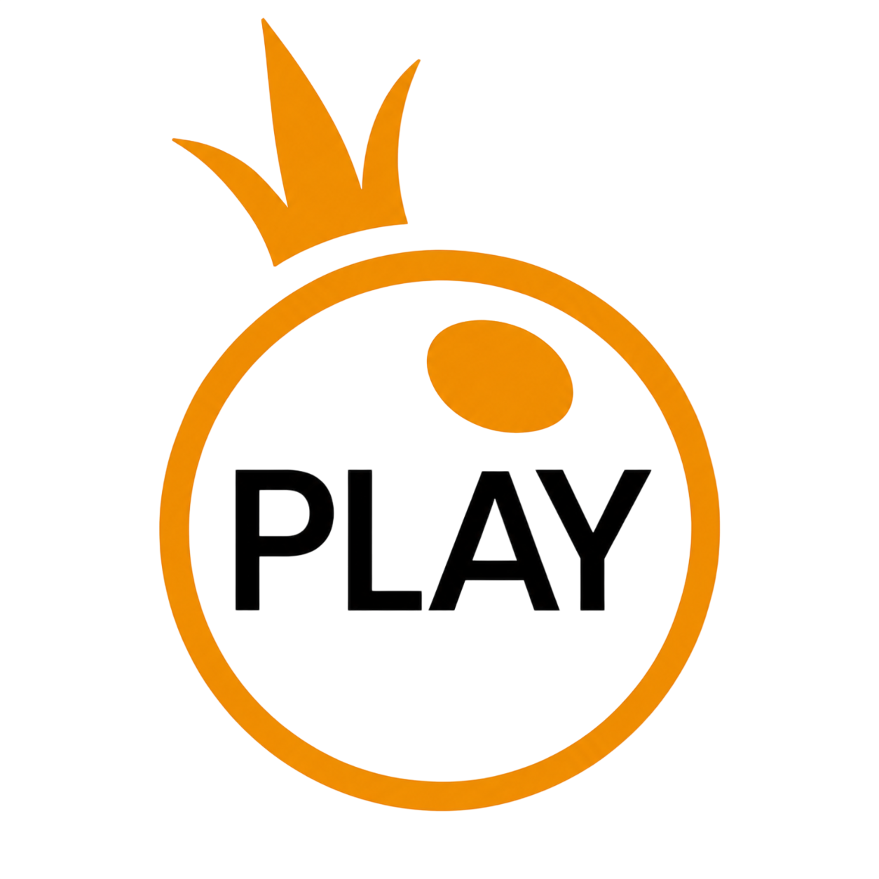 Provider Logo