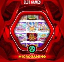 MICRO GAMING